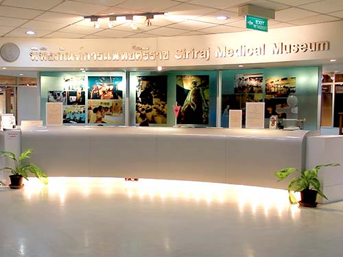 Siriraj museum