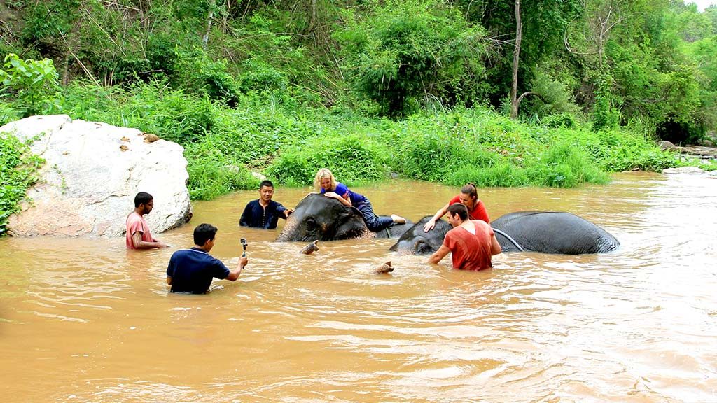 Elephant camp, Chiang Mai.