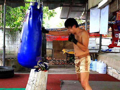Boxer training in a gym.