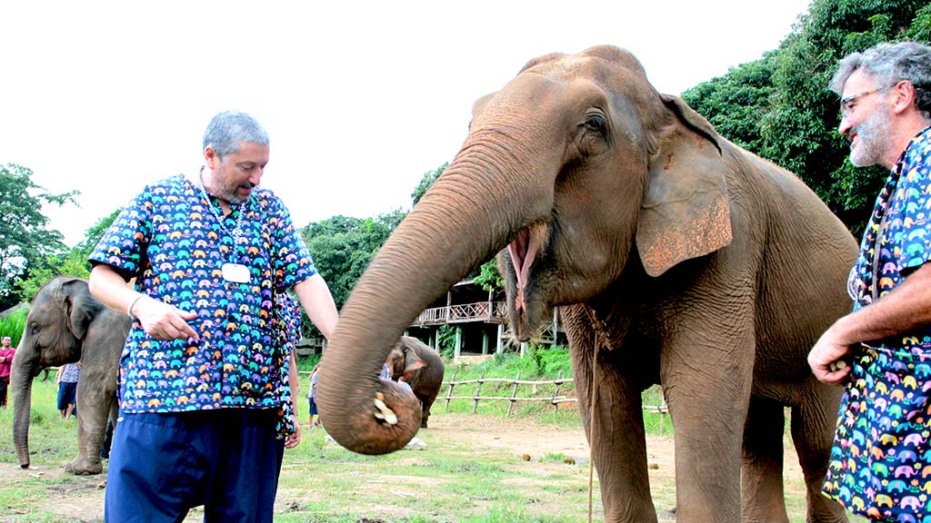 Elephant-18 Elephant camp