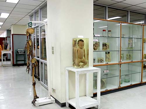 Siriraj Medical Museum.